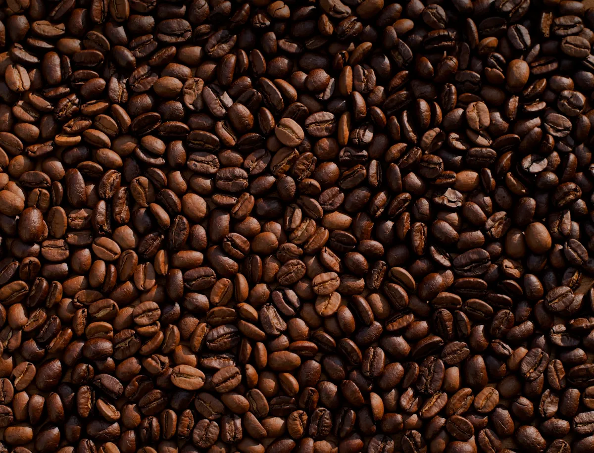 Geröstete Kaffeebohnen in Nahaufnahme.